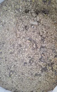 کنسانتره شیری و پرواری