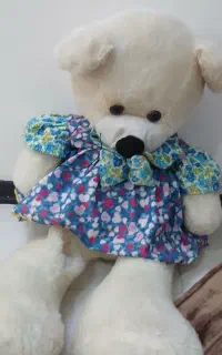 عروسک خرسی