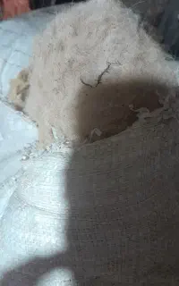 پشم گوسفند