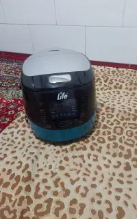 سرخکن و پلوپز وبخار پز و ماست هم توش میشه