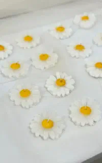 شمع های دست ساز بصورت عمده وتک در خدمت هستیم