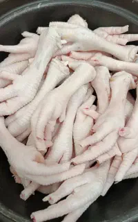 پای مرغ تازه و تمیز