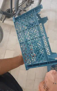 سبد