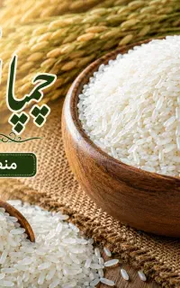 برنج چمپای لردگان