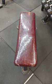 نیمکت تخت بدنسازی همراه با راک هالتر