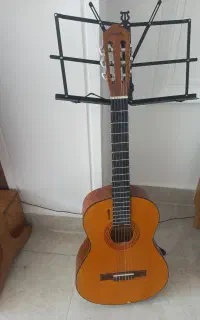 تدریس خصوصی گیتار
