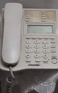 خط تلفن رند