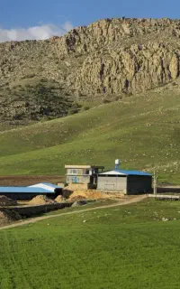 نگهبانی وسرایداری