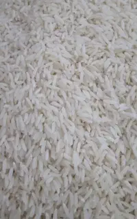 برنج هاشمی شمال ارگانیک