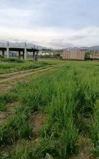 زمین تجاری مسکونی ۲۰ متری زیرتل