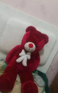 خرس