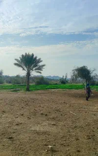 نیازمند کارگر چوپان(حداقل ۵سال سابقه)