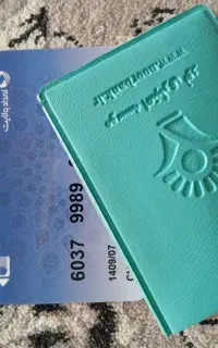 پیدا شده
