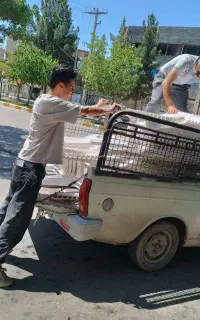 اجاره لوازم برگزاری مراسم و جشن با کیفیت عالی