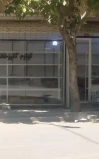 ویترین ها و قفسه ها در حد صفر