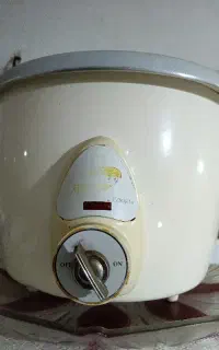 پلوپز برقی
