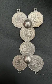 سکه ۲۰ ریالی سگگ کمربند