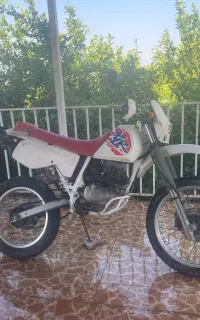 Xl200 برگ سبز در حد صفر