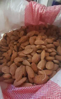 بادام ۶۵۰