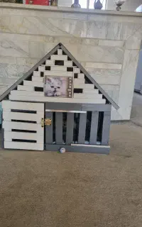 آشیونه سگ و گربه