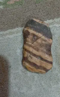 سنگ قیمتی