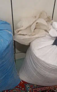 نخود دیم