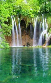 تور شمال شنبه بانوان