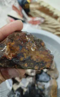 شجر رنگی سیاه پاییزه