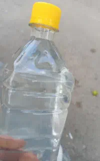گلاب و عرق نعنا