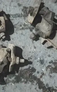 بست داربست