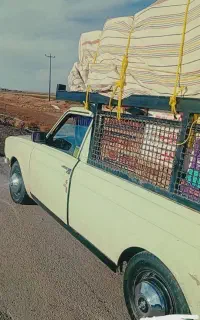 چادر برزنتی و دوچرخه المپیا