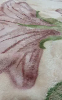 حدود ده تا پتو