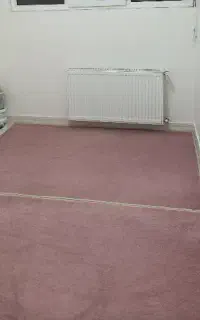 پالاز موکت