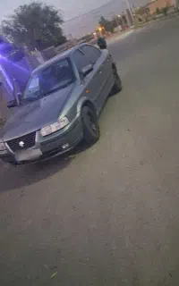 سمند تمیز خونگی