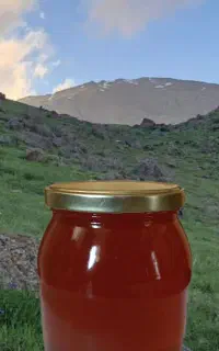 عسل آویشن و گون
