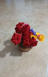 شاخه گلهای دکوری به فروش میرسد