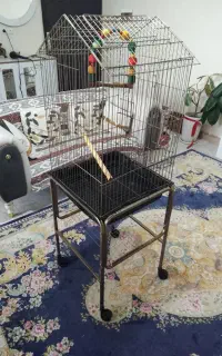 قفس پرنده