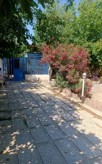 کمپ   ایران زمین کوتاه مدت