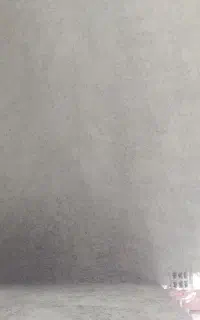 استا پلاسترکار
