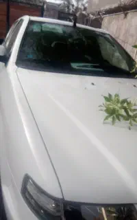 سمندسورن پلاس گازسیمی404