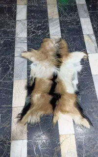 پوست بزی ، پوست بز دباغی شده
