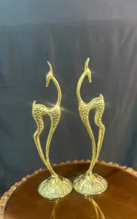 آهو جفتی