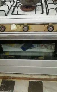 گاز پنج شعله فردا ر وجوجه گردون سالم