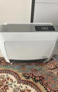 بخاری هوشمند آران
