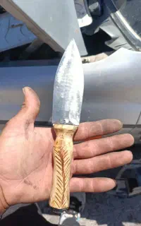 دودم