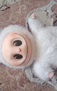 لبوبو