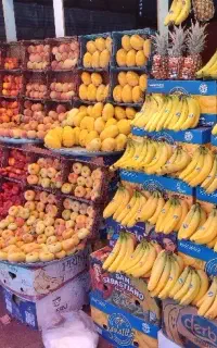 شراکت برای  میوه