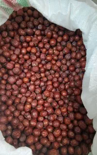عناب بیرجند