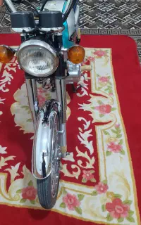 شادگان