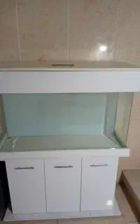 آکواریم شیشه خم